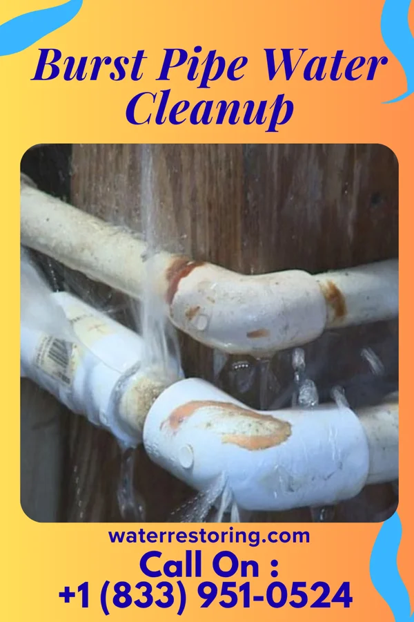 Burst Pipe Water Cleanup in Hanover, PA