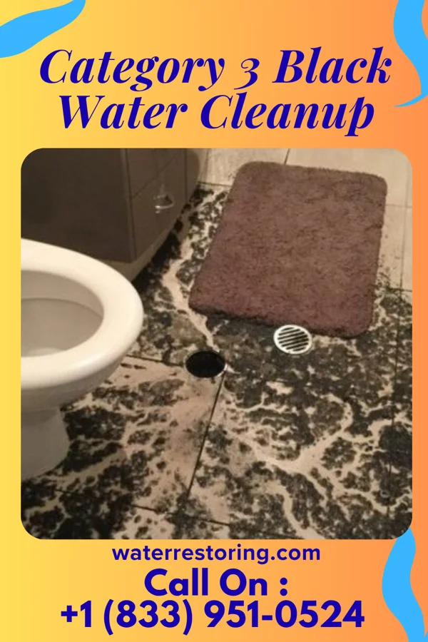 Category 3 Black Water Cleanup in Hanover, PA
