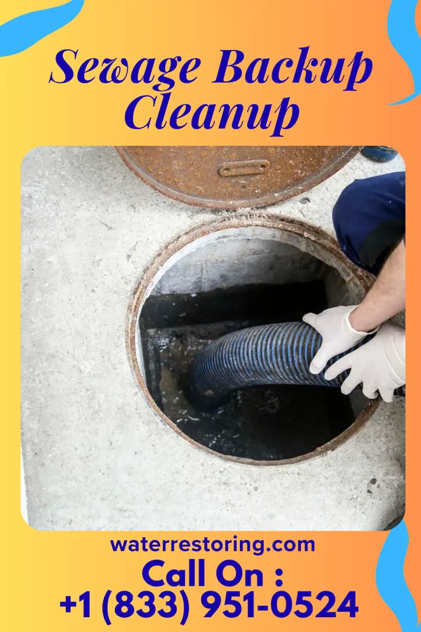Sewage Backup Cleanup in Hanover, PA
