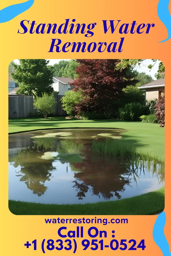 Standing Water Removal in Hanover, PA